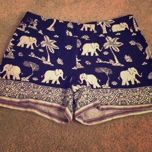 Vacation Season 🩳 Short sale🩳 Elephant Print Shorts